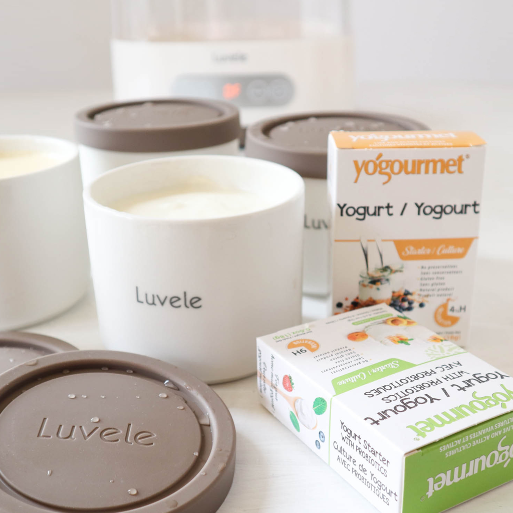 How to make probiotic yogurt at home - Luvele AU