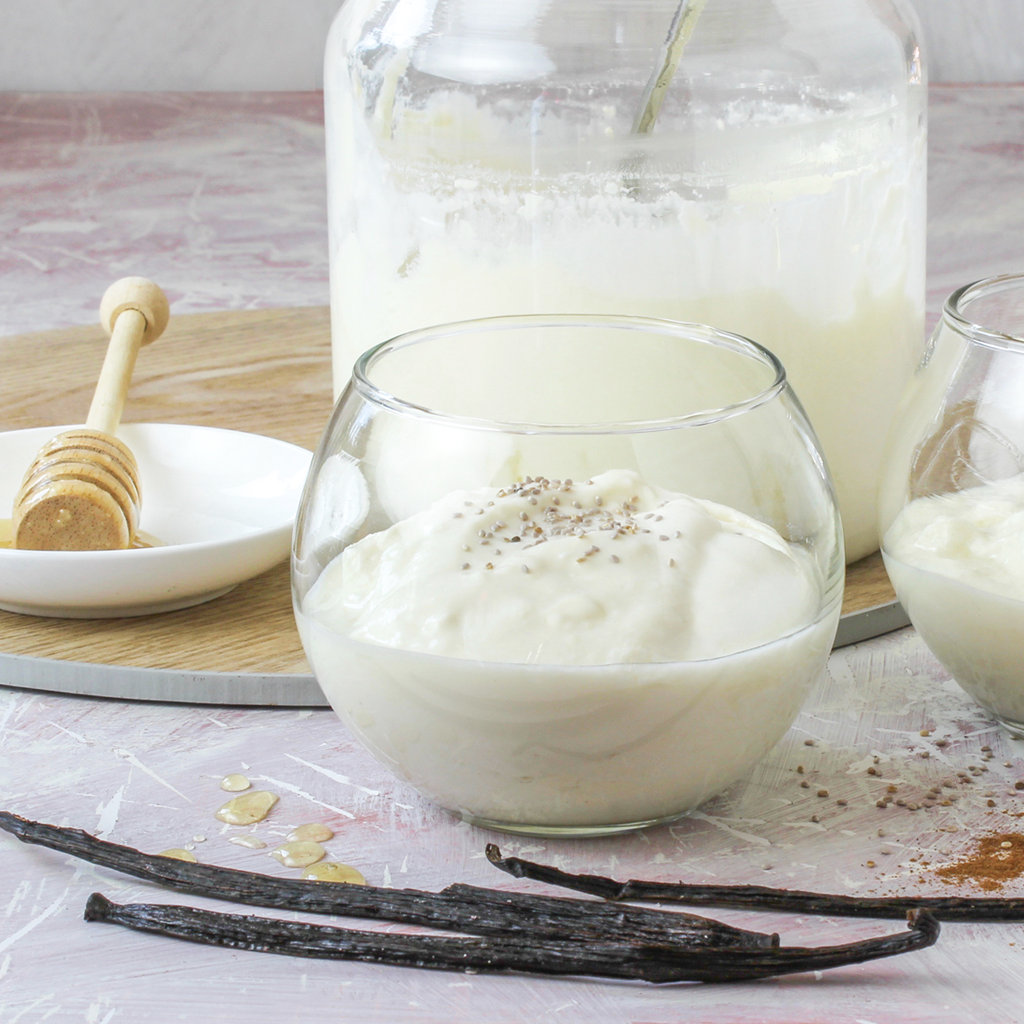 Homemade vanilla yogurt that is sugar free - luvele EU