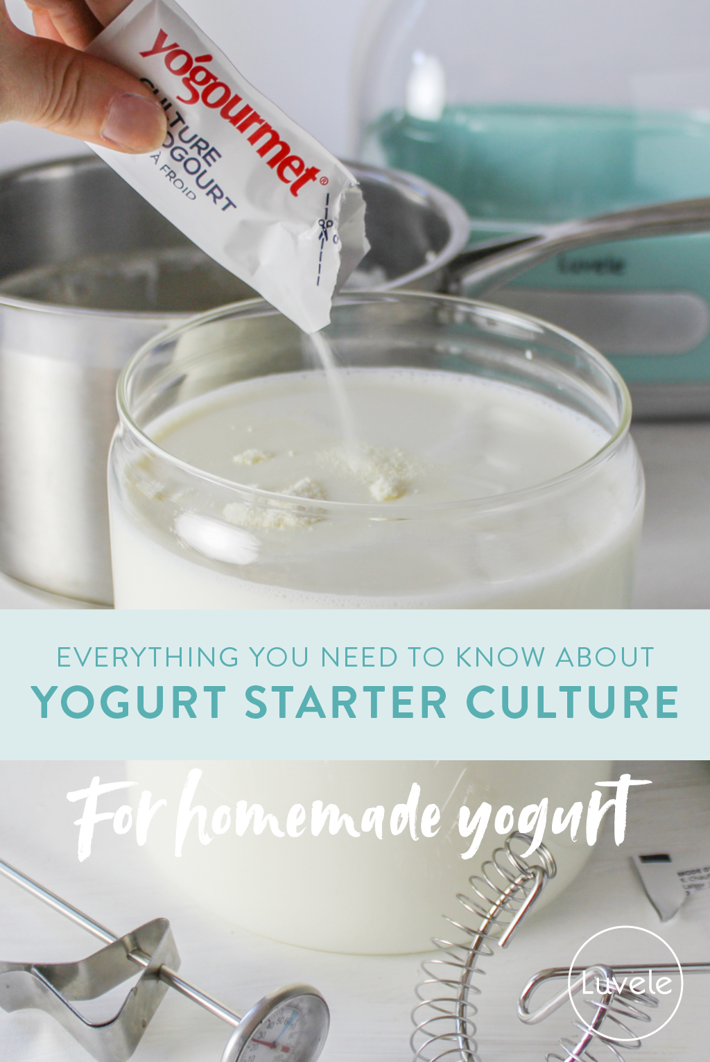 Yogurt starter culture info
