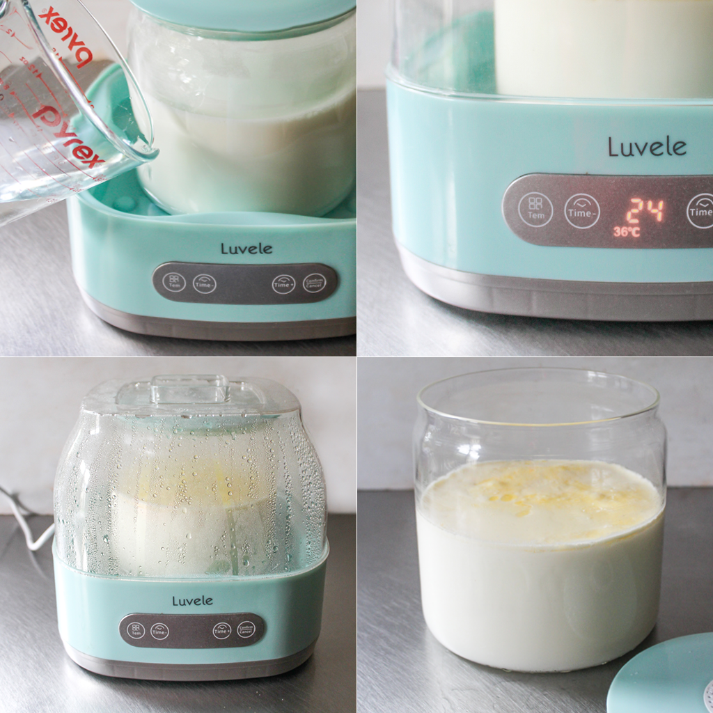 How to make probiotic yogurt at home - Luvele AU