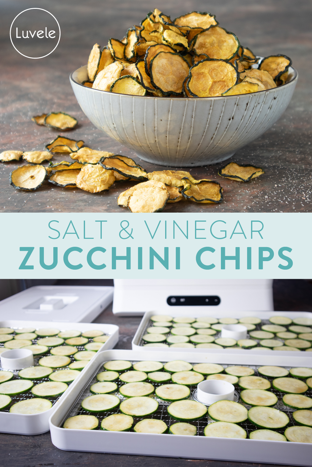 dehydrated salt and vinegar zucchini chips