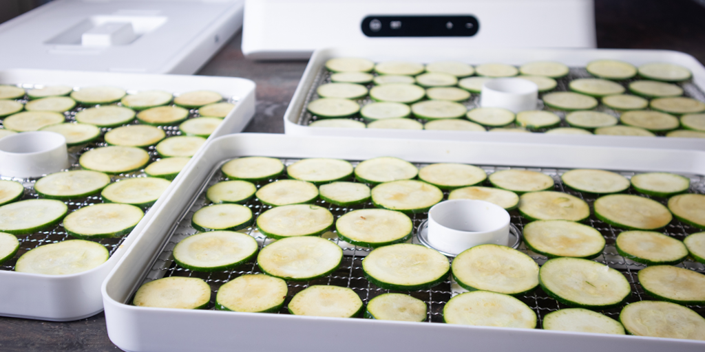 dehydrated zucchini chips