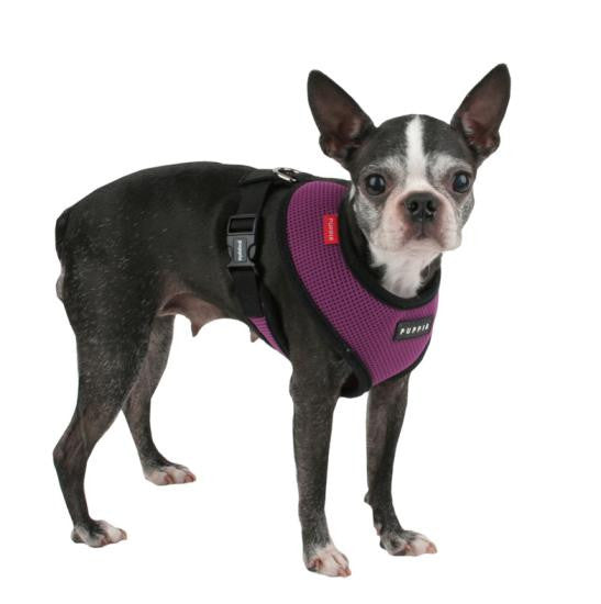 Puppia Harness and Lead Set – Snooty Paws