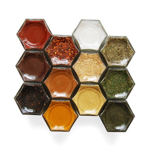 Gneiss Spice Empty Magnetic Spice Rack for Fridge 12 Large Jars