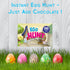 products/Instant-Egg-Hunt-Shot_Easter-Egg-Hunt-Duo-Pack_Indoor_Outdoor_Hannahs-Games.jpg