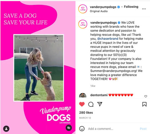 Vanderpump Dogs posted this great REEL featuring Chaser DOG028 celebrating our generous donation to the organization.