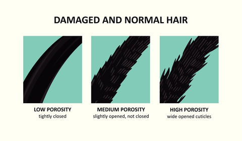 hair porosity