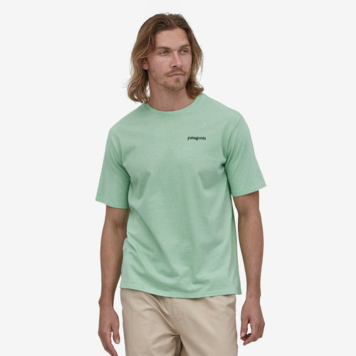 patagonia fitz roy tee