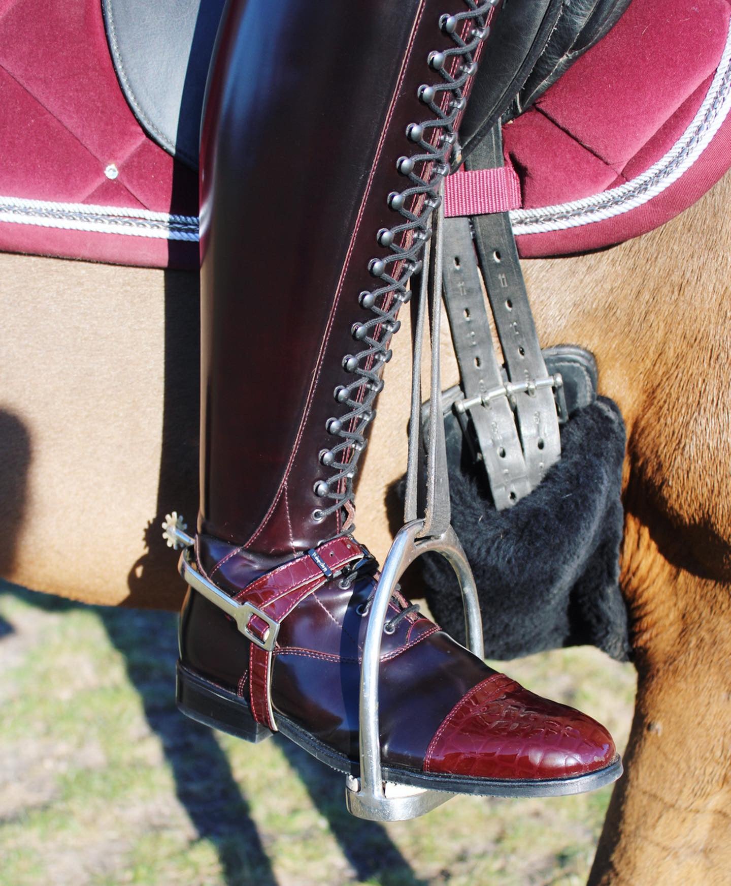 Tall Boots Australia – Urban Horsewear