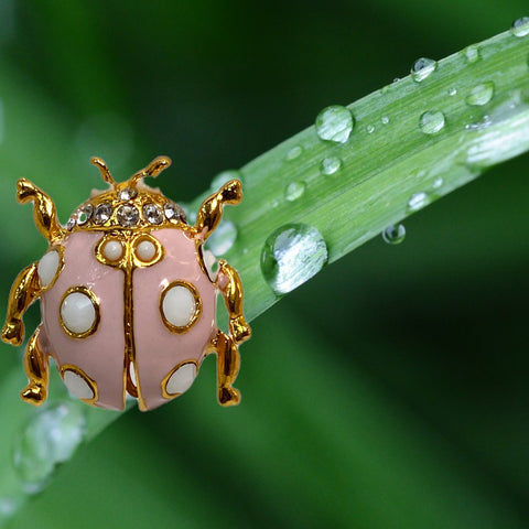 Made in Italy ladybug earrings 