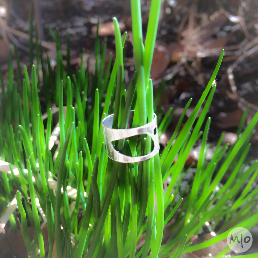 Pebble ring on grass by Melissa Osgood