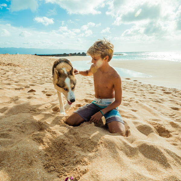 kid with dog beach