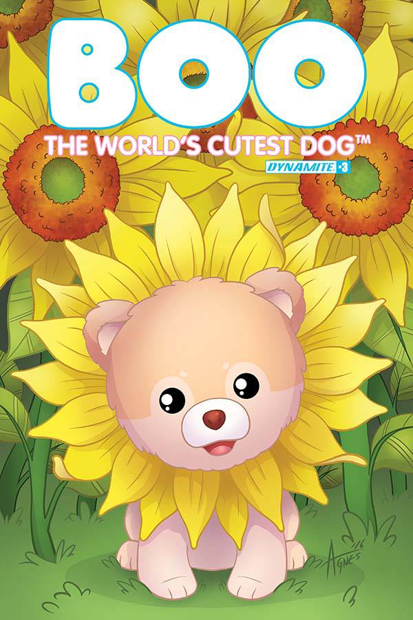 BOO WORLDS CUTEST DOG #3