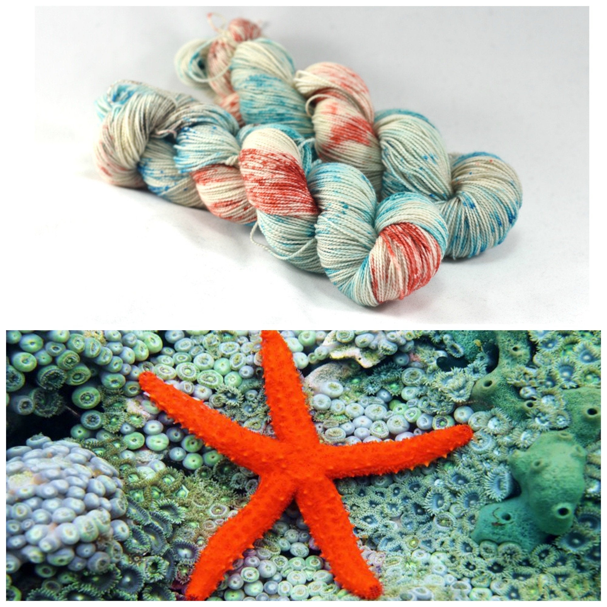 Tide Pool Destination Yarn