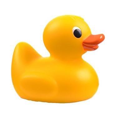 individual rubber ducks