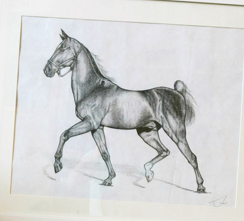 Susie Benes horse drawing
