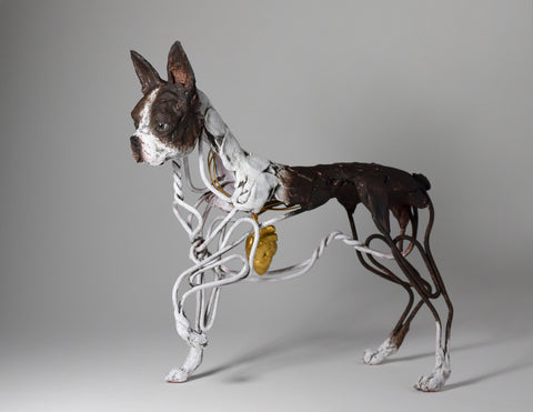 Boston terrier dog sculpture from wire and clay by Susie Benes