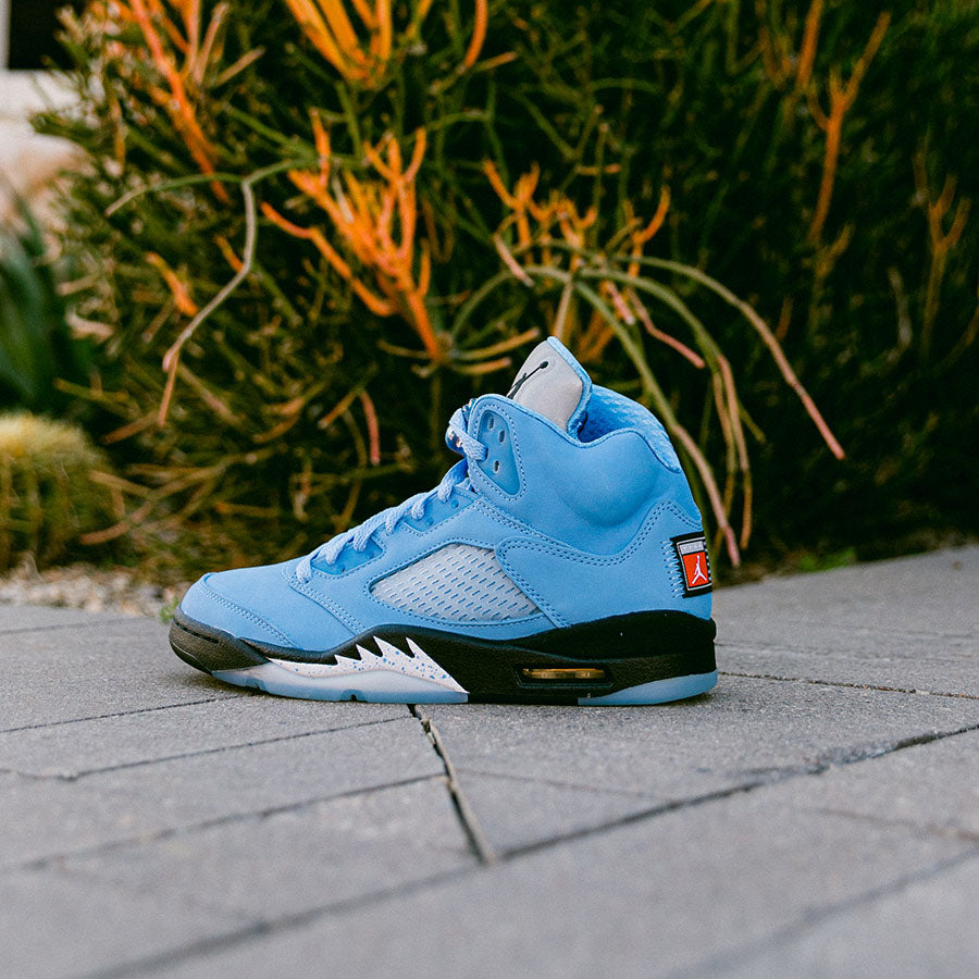 jordan 5 unc