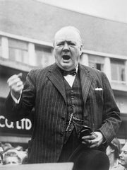 Where To Buy Ascots Winston Churchill