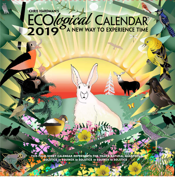 COLLECTABLE Single years of ECO Calendars- From Years Gone By