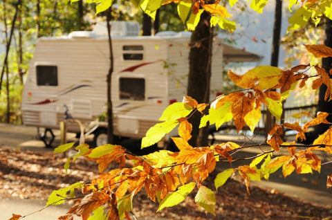 Fall camping