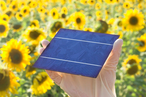 Solar panel with sunflowers in background