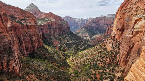 Overlook at zions national park