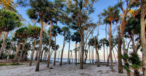 hunting island state park south carolina