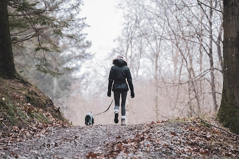 Camping with Pets