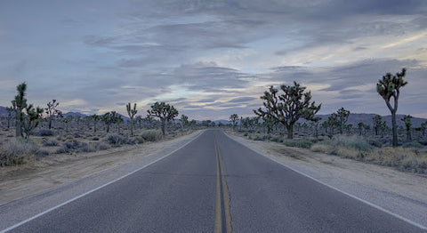 Joshua Tree National Park road