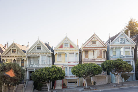 The Painted Ladies