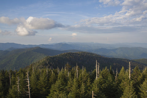 Great Smoky Mountain Hiking Views