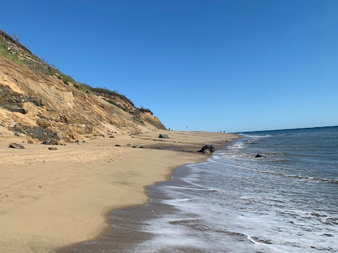 Cape Cod Beach