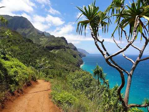 Kauai Ocean View