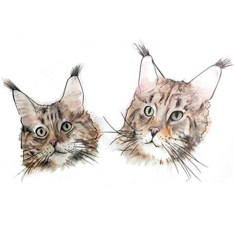 kitties cats drawing