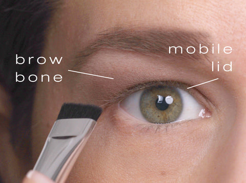 Visual of eye anatomy showing the location of the brow bone and the mobile lid to aid in application of eye shadow
