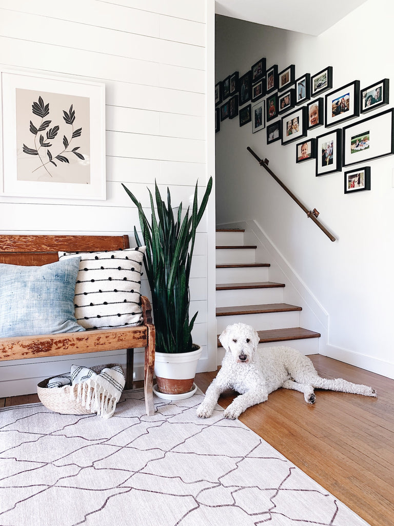 Marrakesh Beige Ivory Rug Foyer