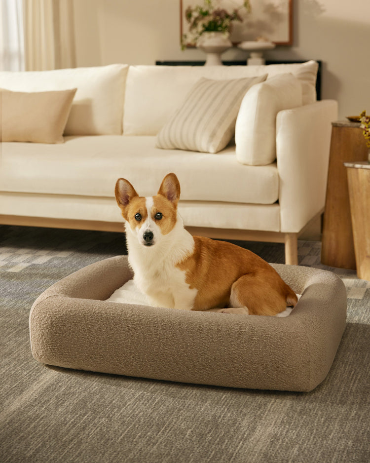 Charlee Checkered Neutral Woven Bolster Pet Bed, Medium