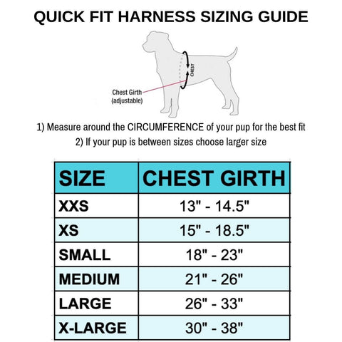 Quick Fitting Dog Harness - New Colors for 2021 – DoxinMotion