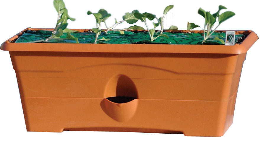 Garden Patch Grow Box