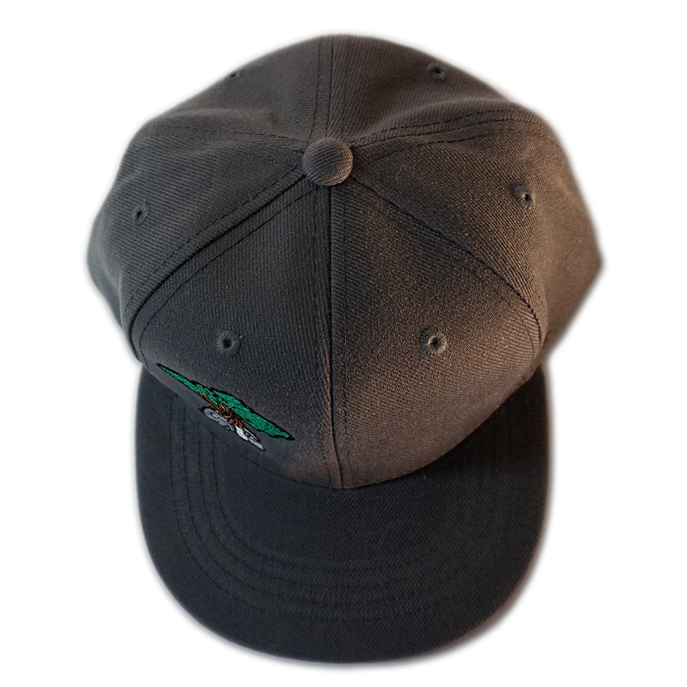 Juniper Tree - Youth Snapback Hat - Charcoal Grey – RISE Designs