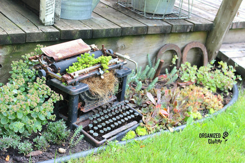 Old Coffee Pot Upcycled As A Flower Pot - Organized Clutter