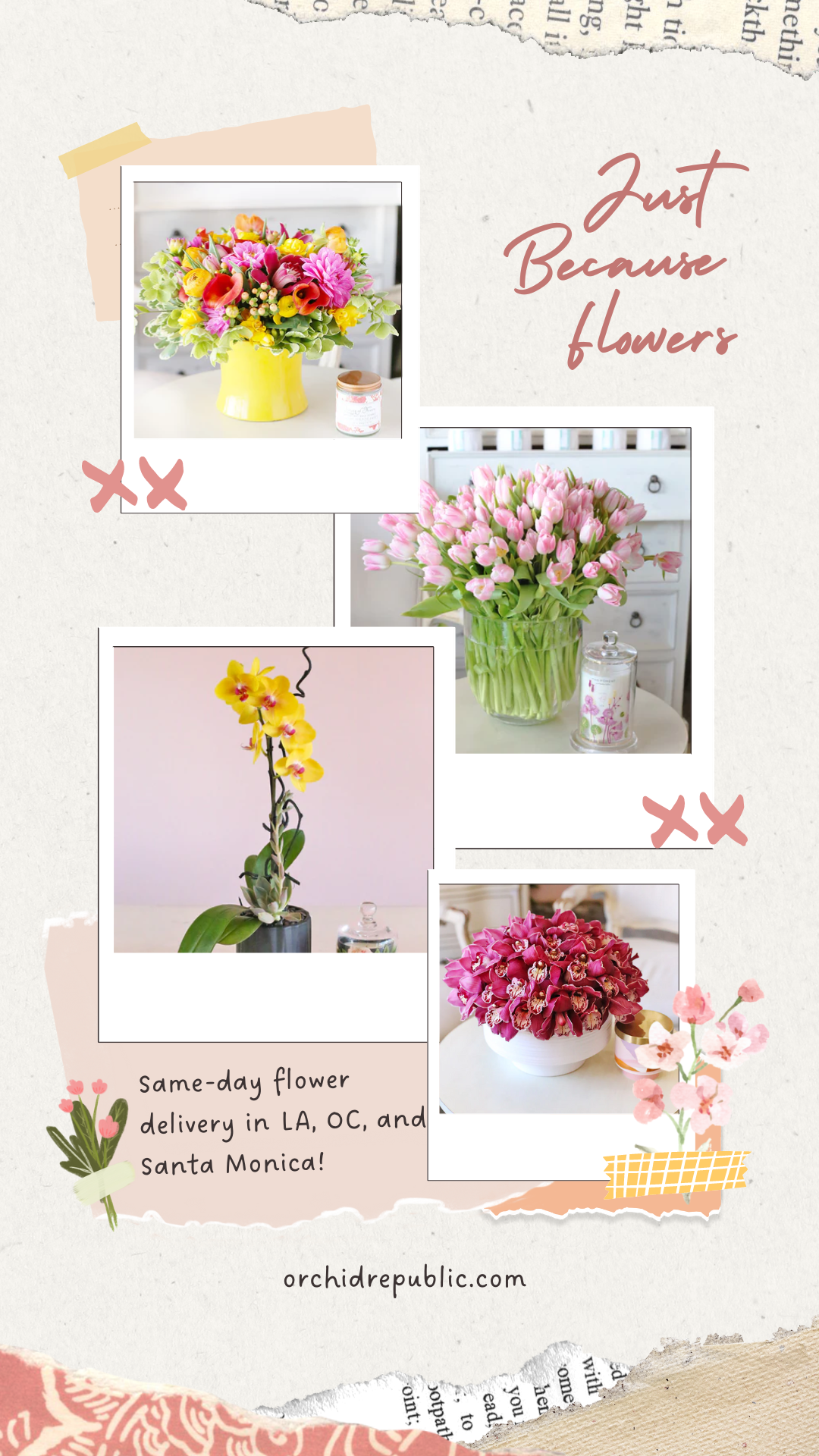 Why Sending Flowers Just Because Is the Sweetest - Orchid Republic