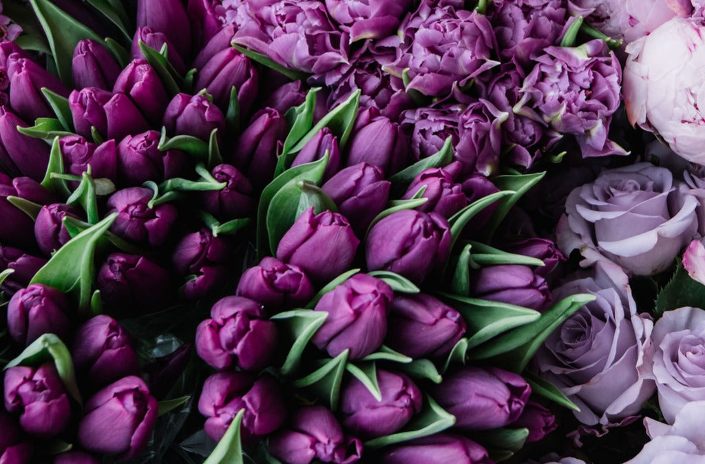 types of purple flowers for bouquets