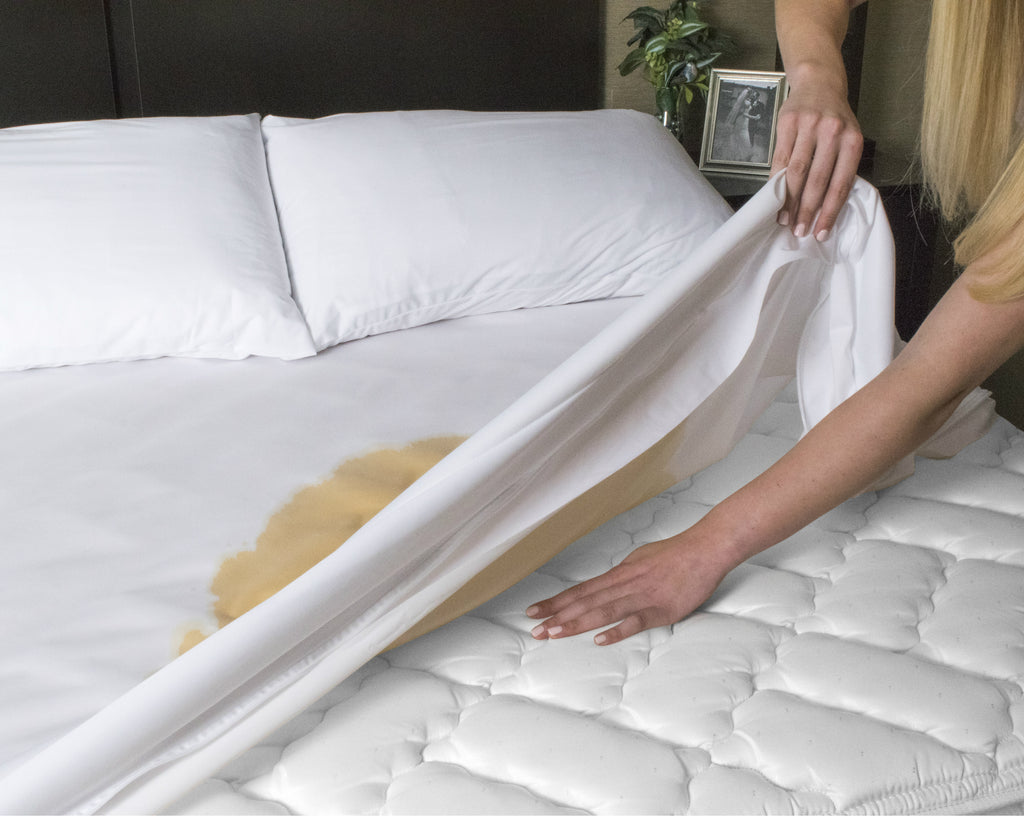 sealy allergy defend zippered mattress encasement