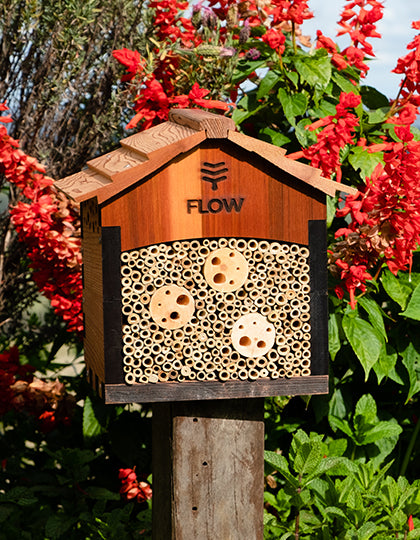 flow-pollinator-house-insitu2