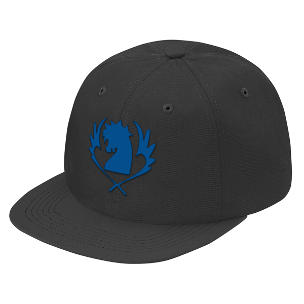 Fairy Tail Blue Pegasus Symbol Snapback Pfsb Tc International