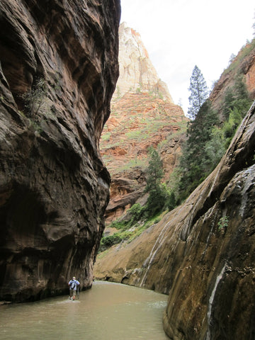 river canyon hiking in zion national park utah