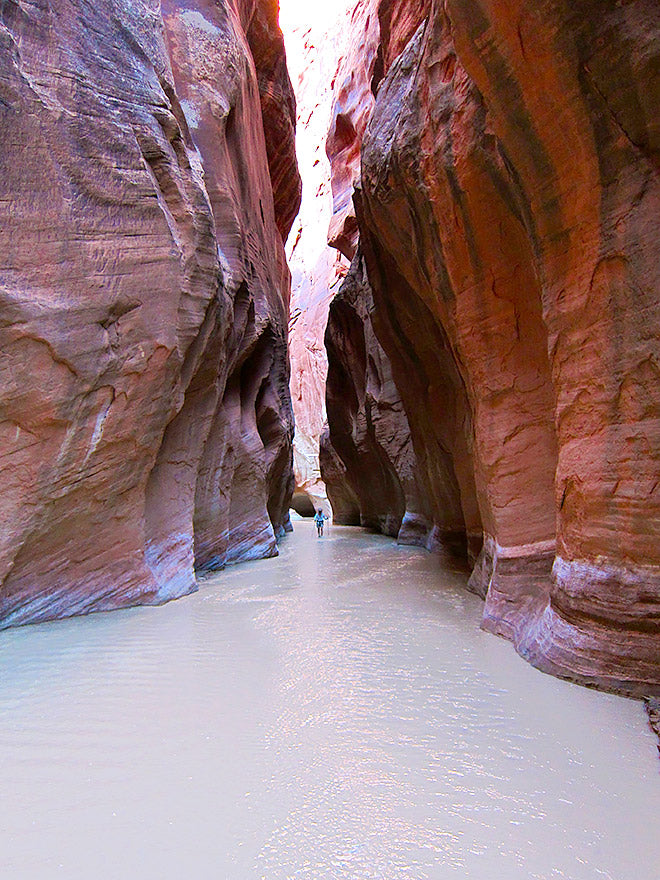 Vermilion Cliffs National Monument