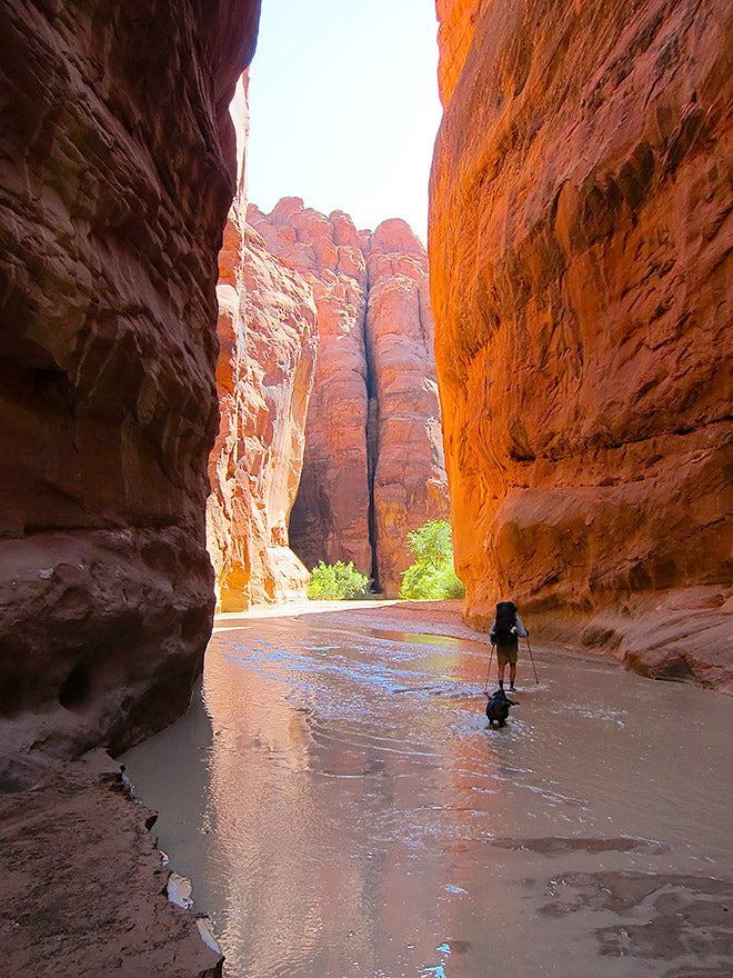 Vermilion Cliffs National Monument